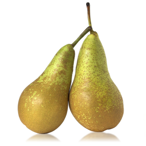 Pera Conferencia Categoria 1ª