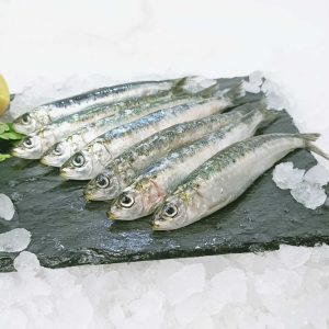Sardina Parrocha Congelada 1kg